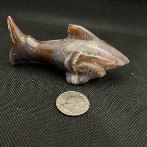 Ocean Jasper Shark Carving Crystal 4oz